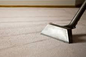 carpet steam cleaning